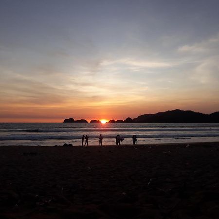 Big Daddy'S Surfcamp Apartment Pasanggaran Ngoại thất bức ảnh